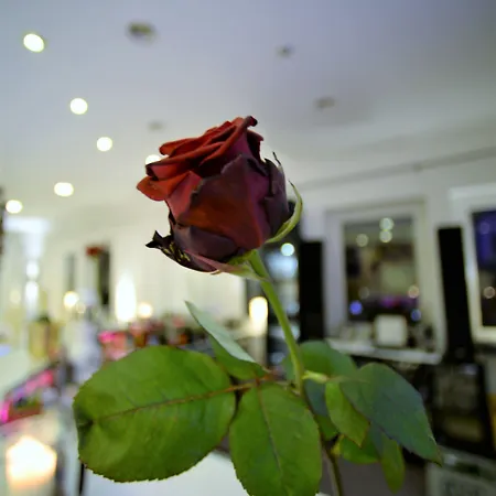 Otel Ascot 4*