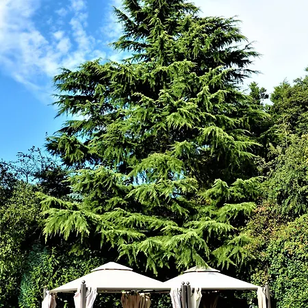 Otel Ascot