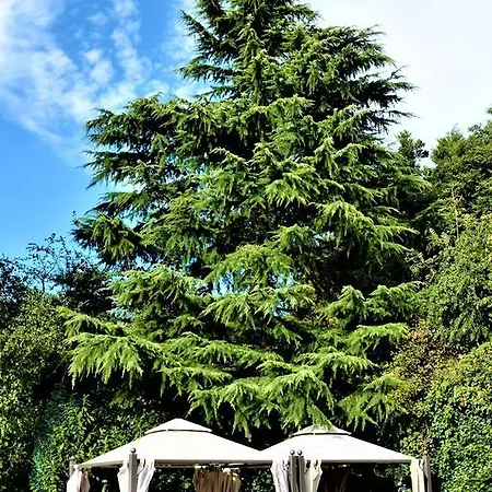 Ascot Hotel 4*